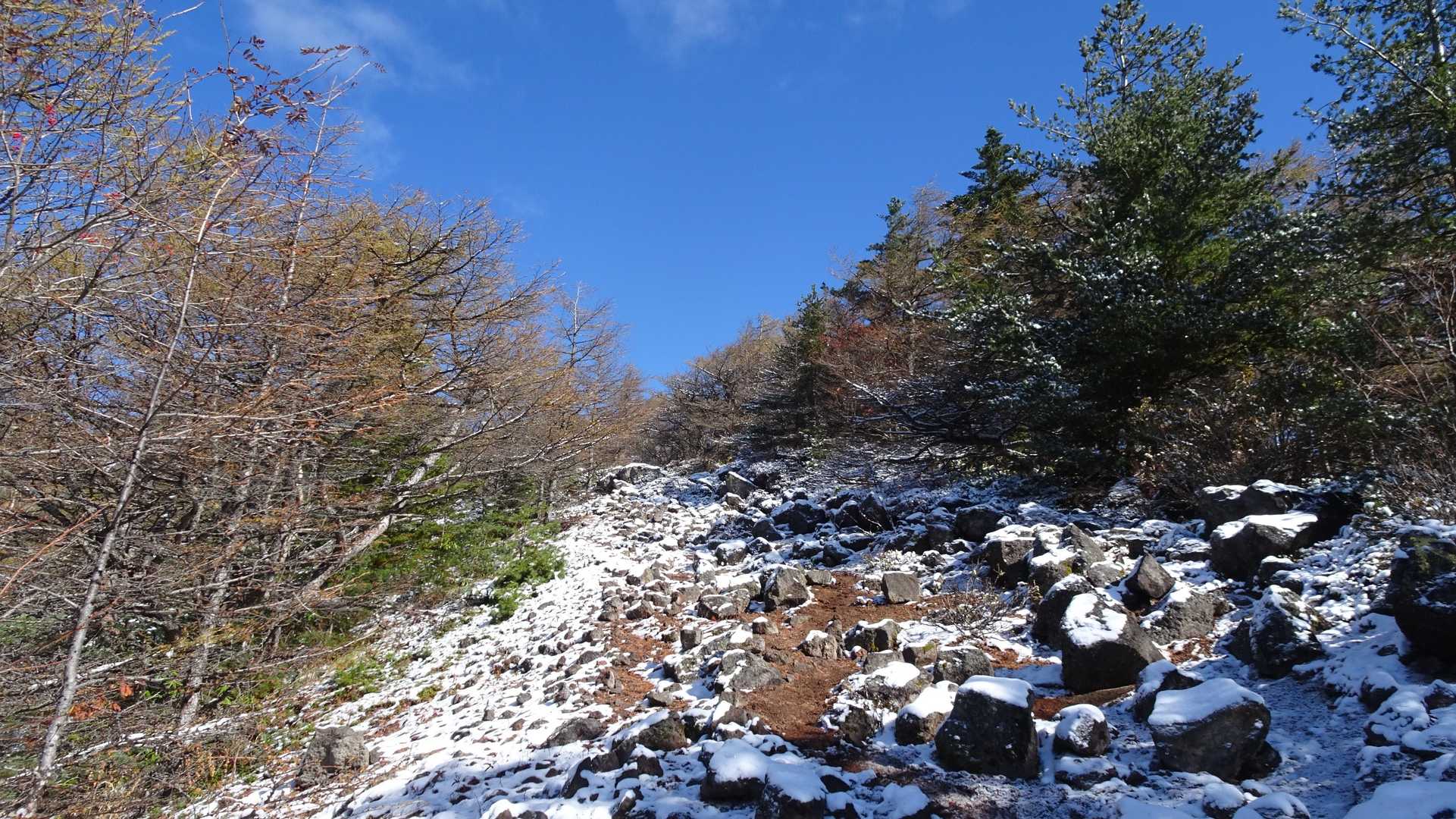 篭ノ登山 往復コースの写真