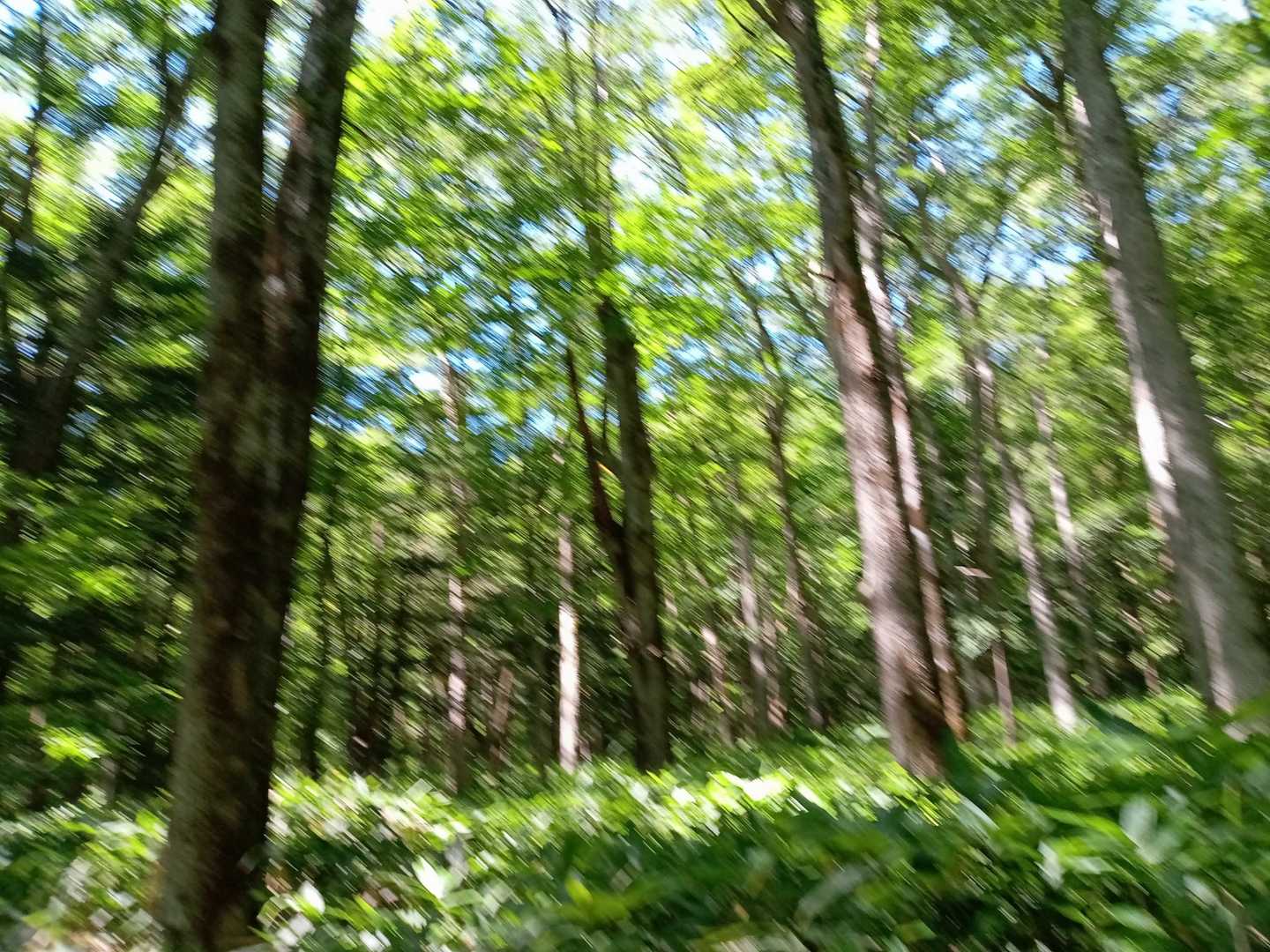 新中の湯登山口-焼岳-中尾峠-新中尾峠-河童橋 縦走コースの写真