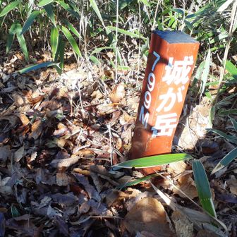 城が岳山頂到着。ここを訪れる登山者は少ない。スズタケ藪はある程度払われて、以前と比べて歩きやすくなっていた。