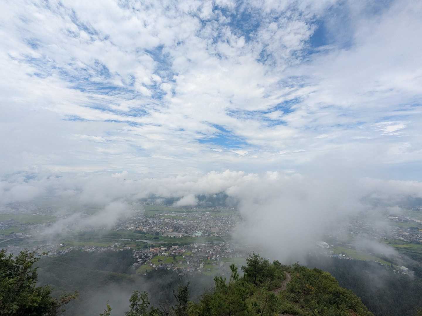 坂戸山周回 | 春にカタクリが咲き誇る、上杉景勝・直江兼続ゆかりの山城跡の写真