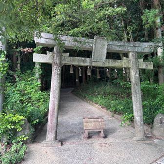 ドキドキしながら登山開始！