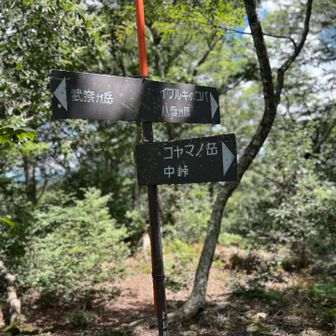 ここから八雲ヶ原方面へ