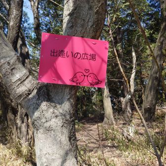 あったー今日も、