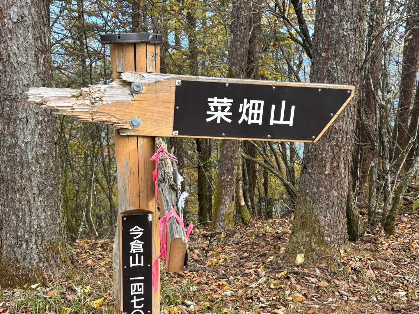 次はこっちに行くかな
