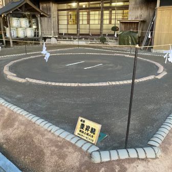 綺麗な土俵😍見て、降りることにします。