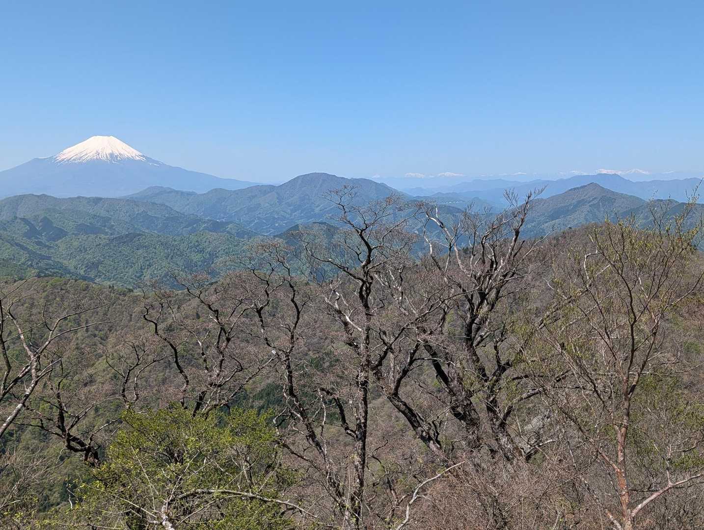 富士山と南アルプス