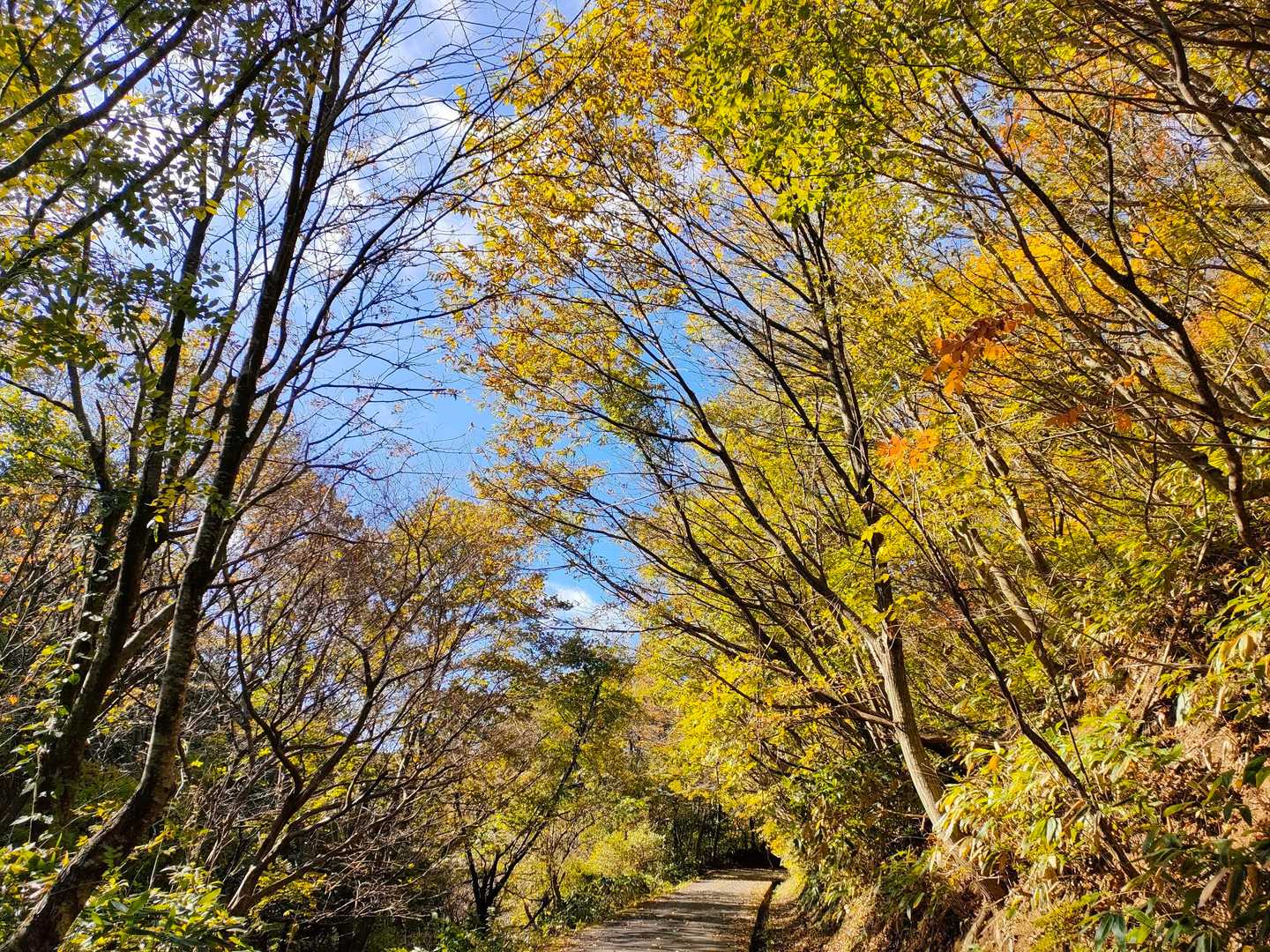 石動山 周回コースの写真