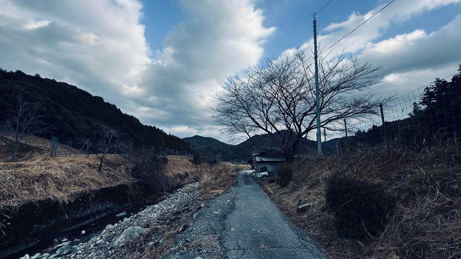 下山。
お二方とすれ違いました。
誰もいないだろうと思っていたのでちょっと嬉しい😅