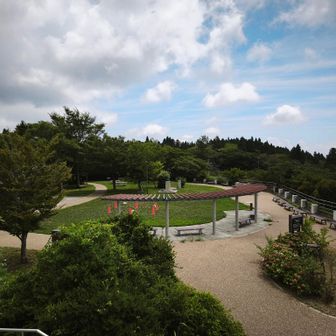 六甲山ビジターセンター(記念碑台)で休憩