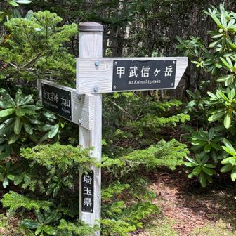 キレイな看板ができてました