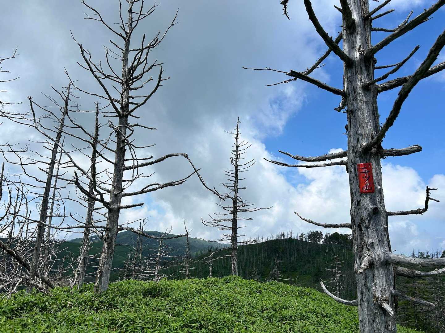 山頂からの鉢伏山方面