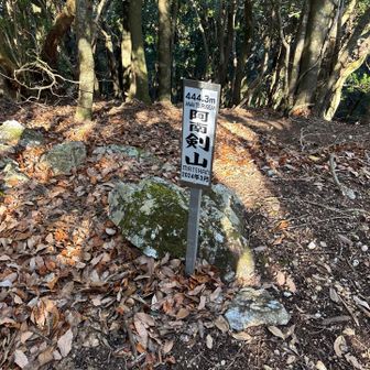 で、到着。眺めなし。
でも急登を制し、何とも言えない爽快感😊