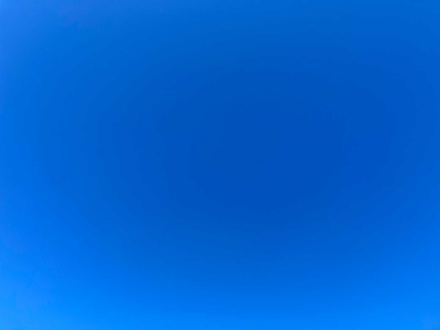 蒼