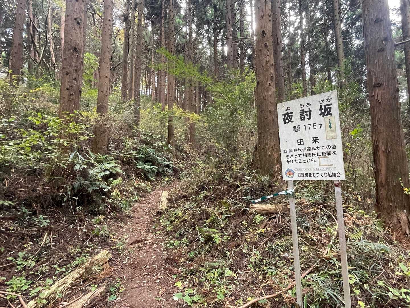 夜討坂🗡️何となく一人だと心細いゾーン