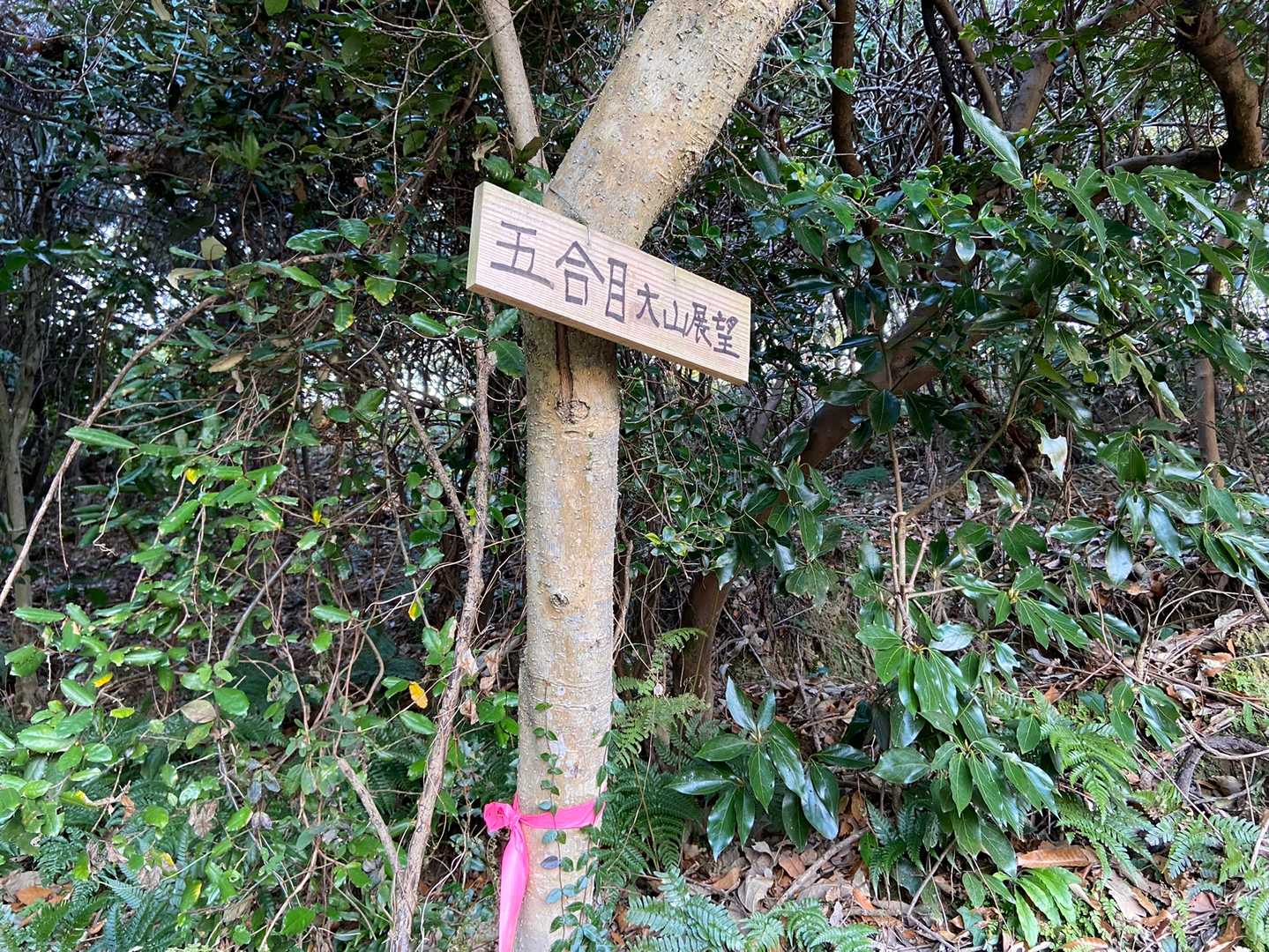 怒塚山五合目
大山？見えるのかな？