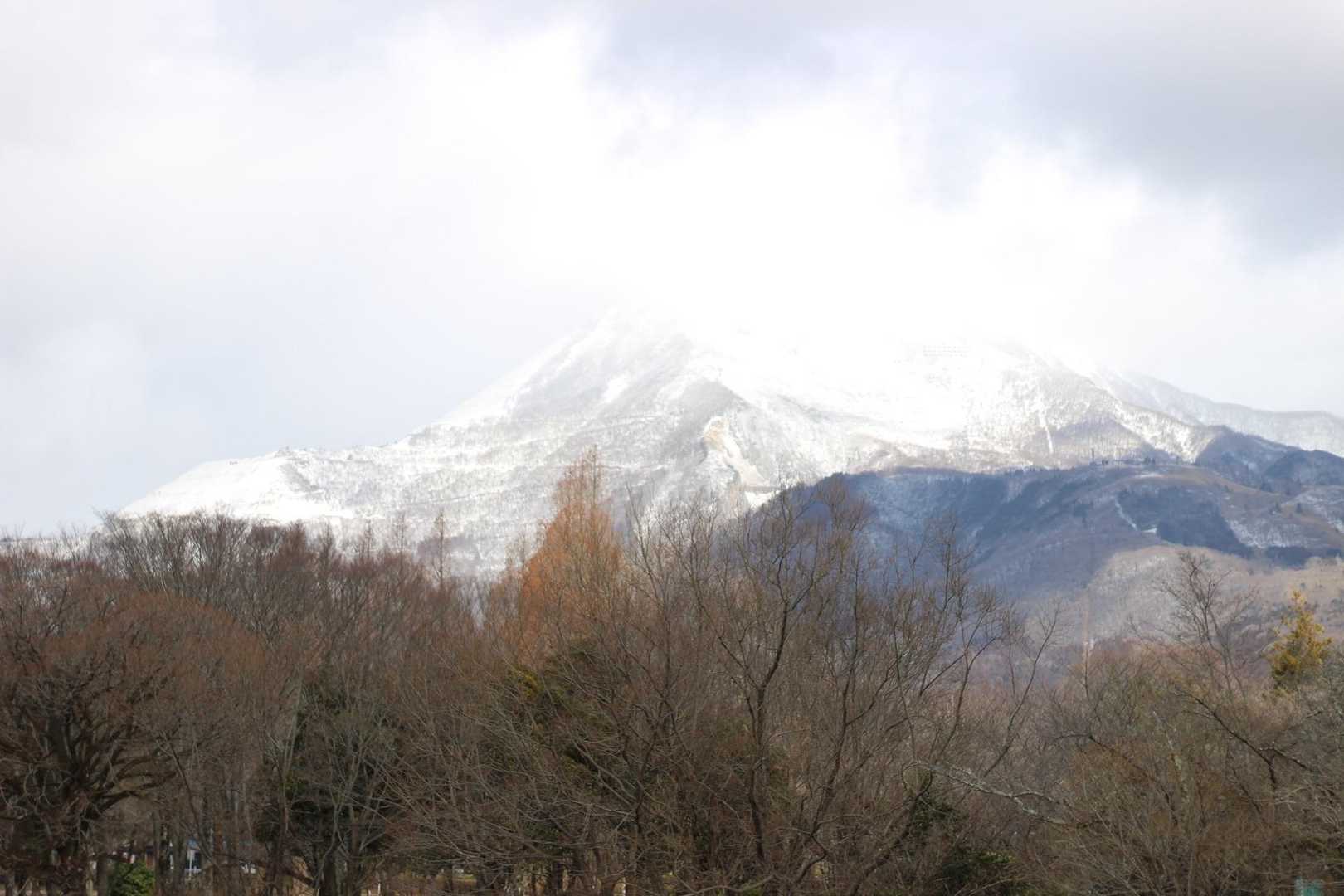 源氏山 往復コースの写真
