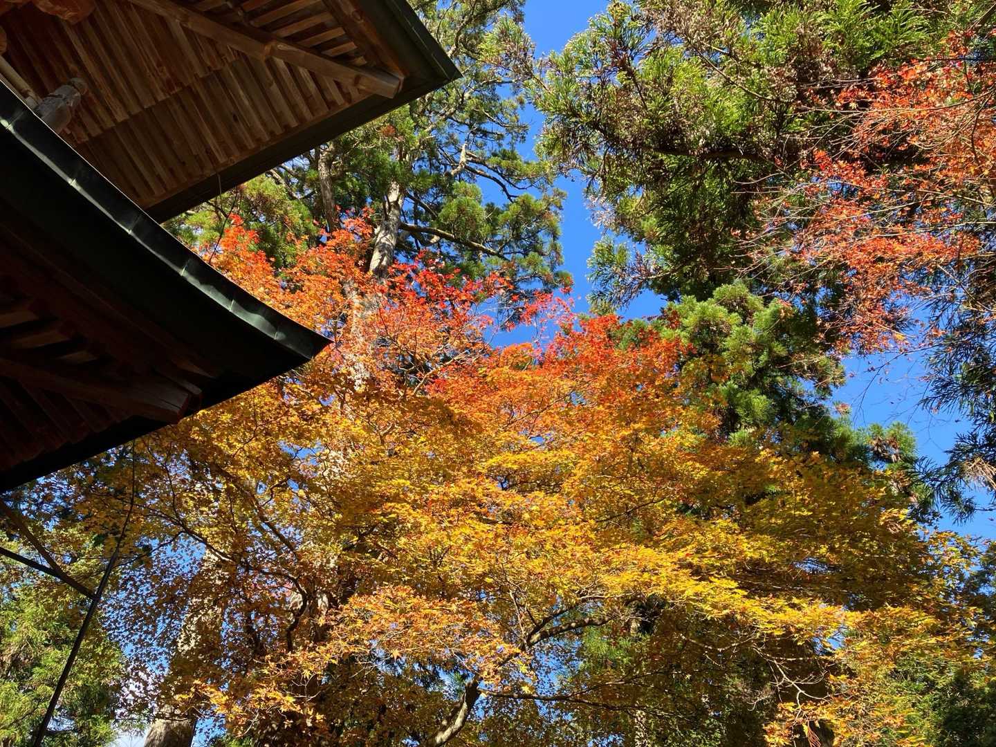 修学院駅-比叡山登山口-修学院山-比叡山坂本駅 縦走コースの写真
