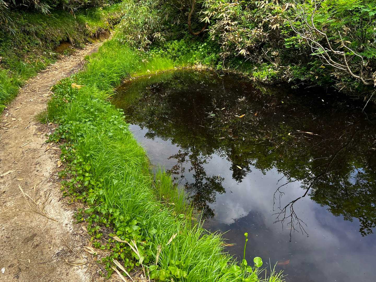 この後 無事下山しました✌️
キノピーカンじゃ無かったけどいいトレーニングになりました。
登山口付近 オロロ酷かったわ😱