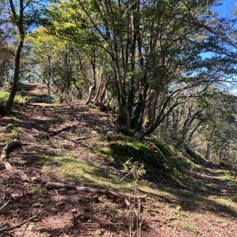 今回使用した下山尾根のスタート地点(ここから手前方向へ)。頂上から最初の登山道が折り返すところ。