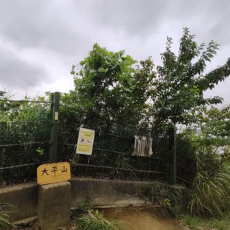 大平山は鎌倉市。大丸山よりちょっと高い⛰️