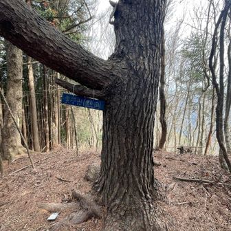 雪池山⛰️最後は直登でした🤣