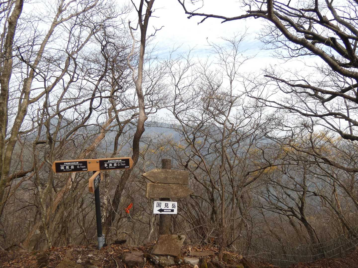 国見岳分岐点に到着〜🙌