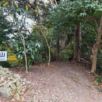 在自山の山頂は4回通過😆水落山への取り付きも夏と違いわかりやすい👍