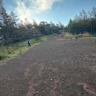 休憩中でもきのこ探しでウロウロしてるパパ。体力おばけ