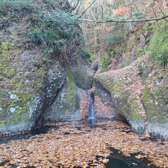 亀ヶ淵はお水ちょろちょろ。
