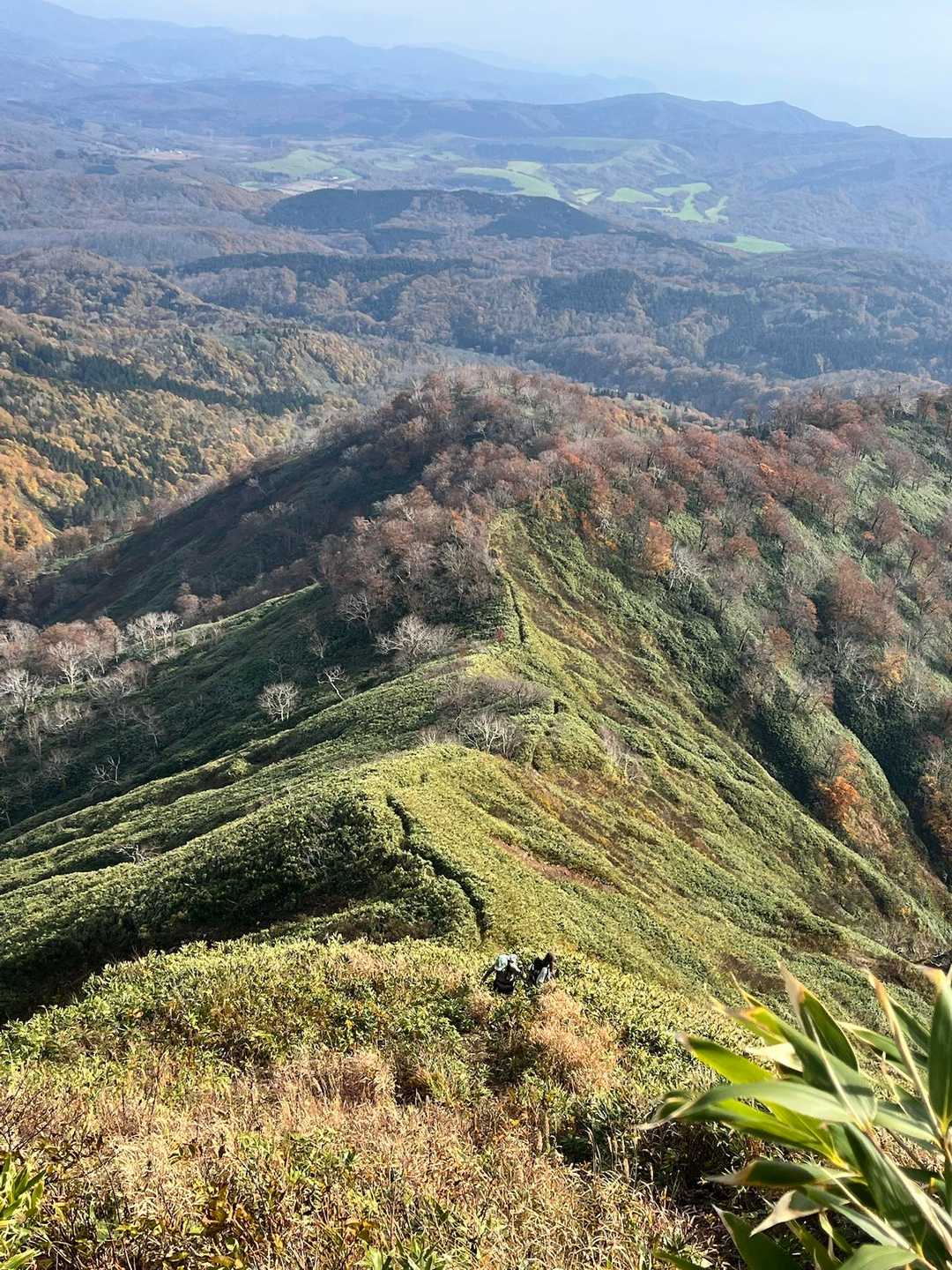 登って振り返る