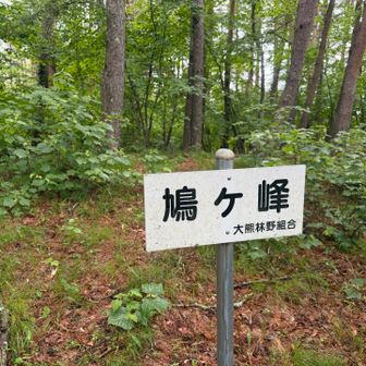 オマケピークの鳩ヶ峰に来てみました！
もちろん眺望なんてありませんが、コレも大切な一座ですね