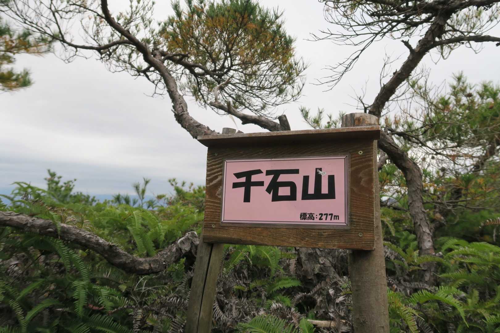 千石山277m