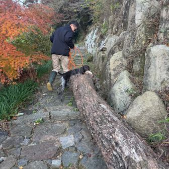 水辺散歩のついでによってみたので長靴……滑りやすくて危なかった