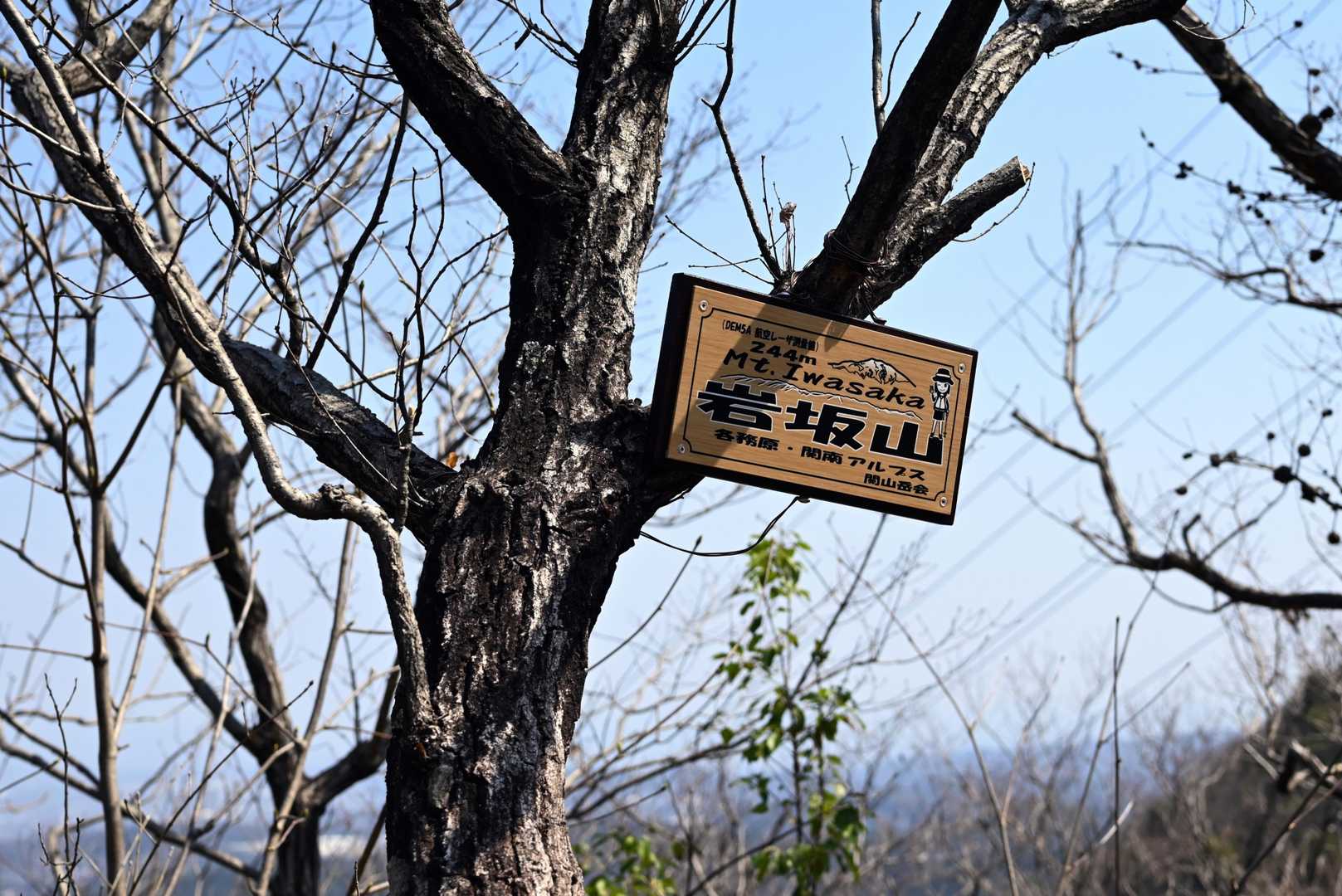 岩坂山…久しぶり!!!