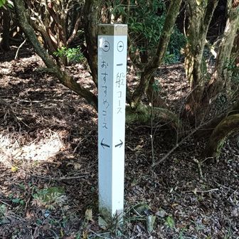 帰りはおすすめコースへ