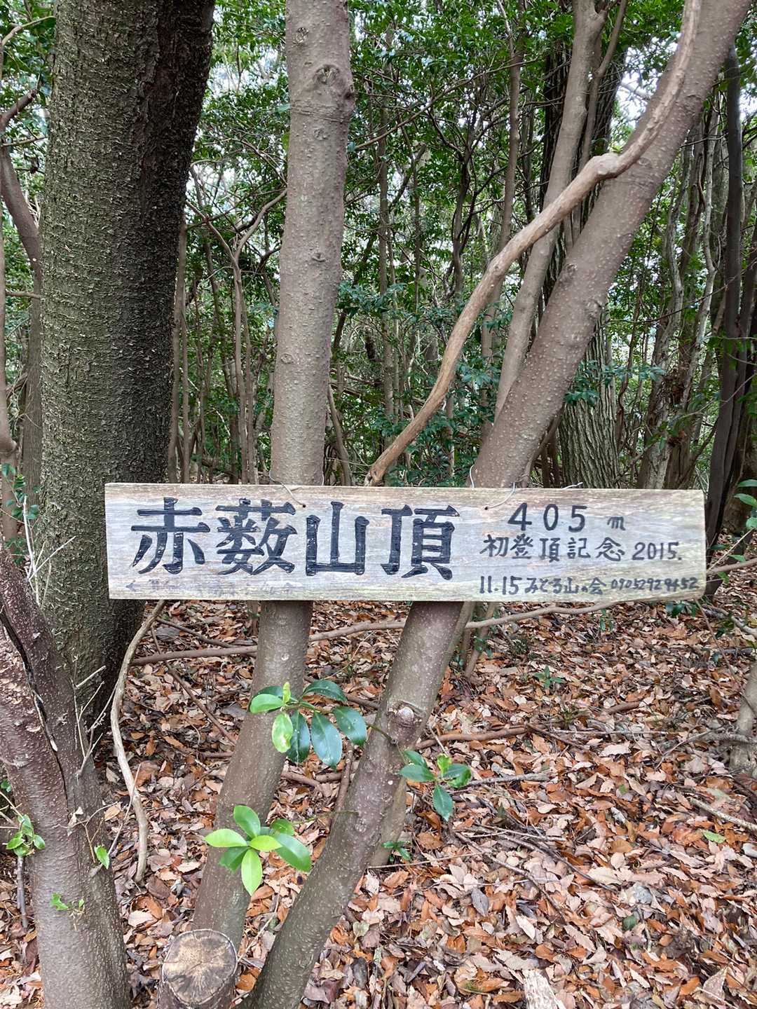 初めましての赤藪山⛰山頂４０５M。