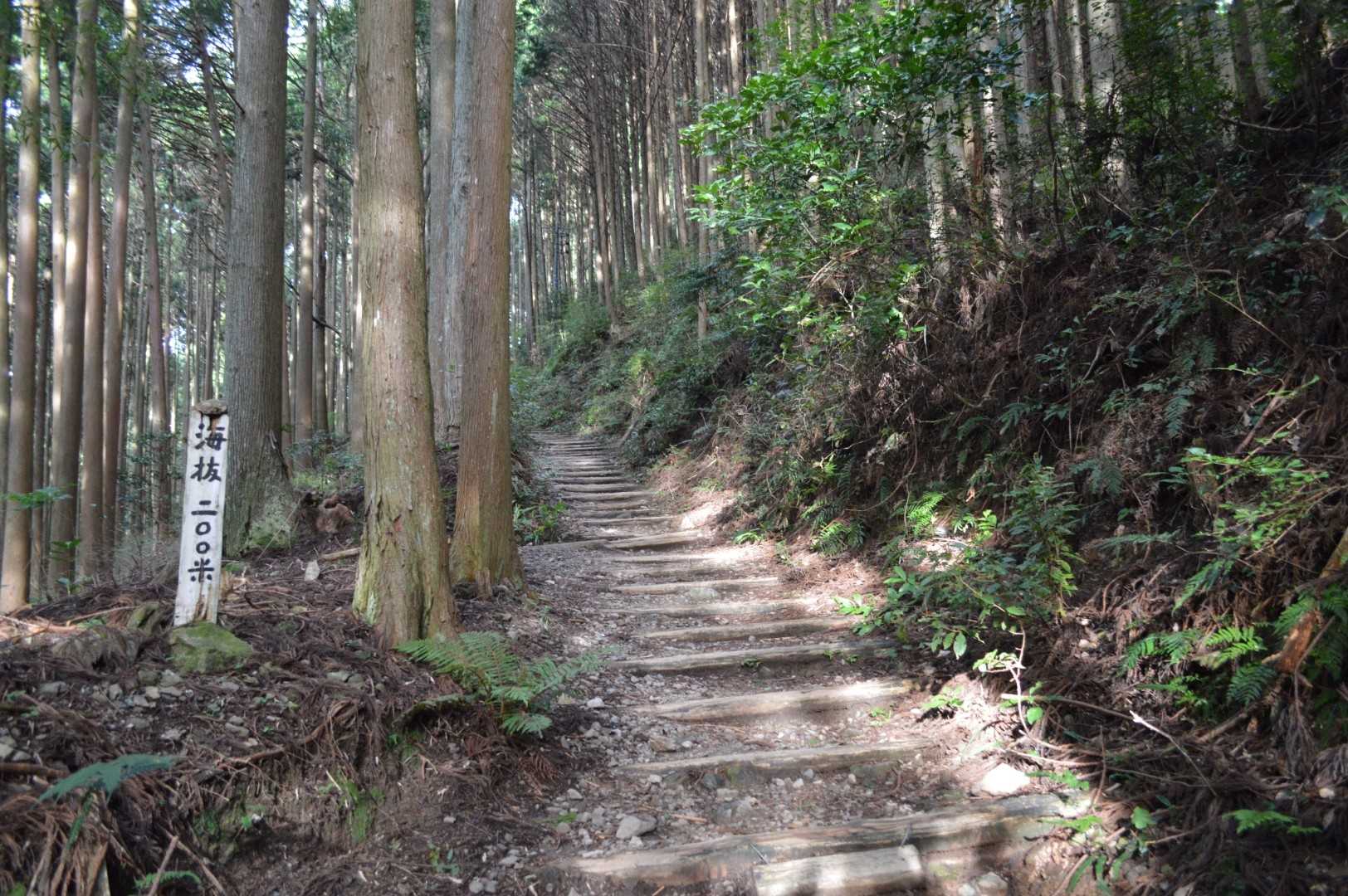 標高上げてく🚶