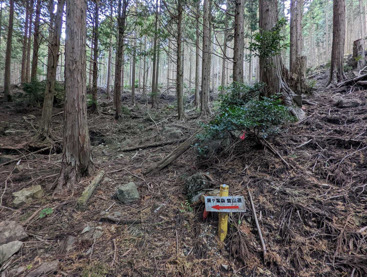 ところどころ看板あり