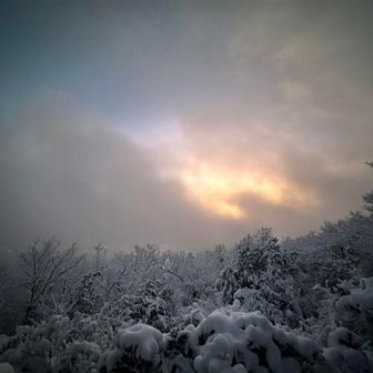 日の出は雲で見れませんでした。