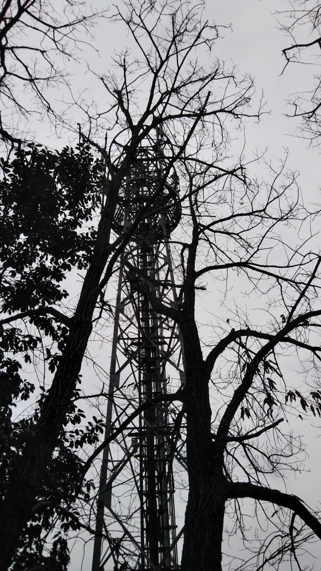 docomo電波塔