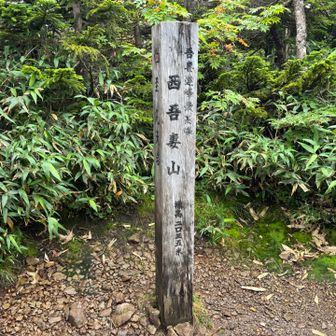 到着
いつの間にか着いていた

空が開けてきたとか人の気配がするなどの予兆は全くなく、突然この柱が現れます