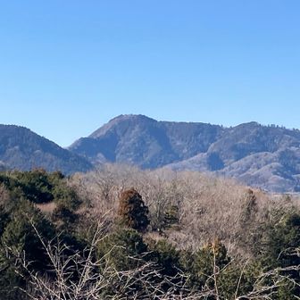 方角的に南山かな？