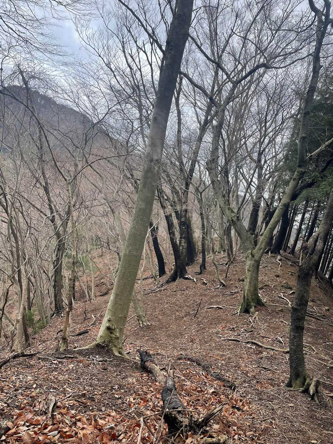 華厳山から結構くだってから、経ヶ岳への登り返し。