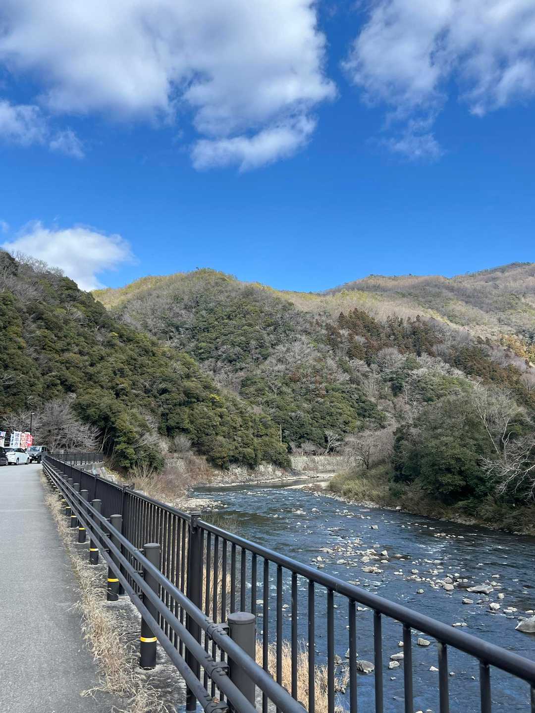 きっとこの山に山桜が咲くのだろう