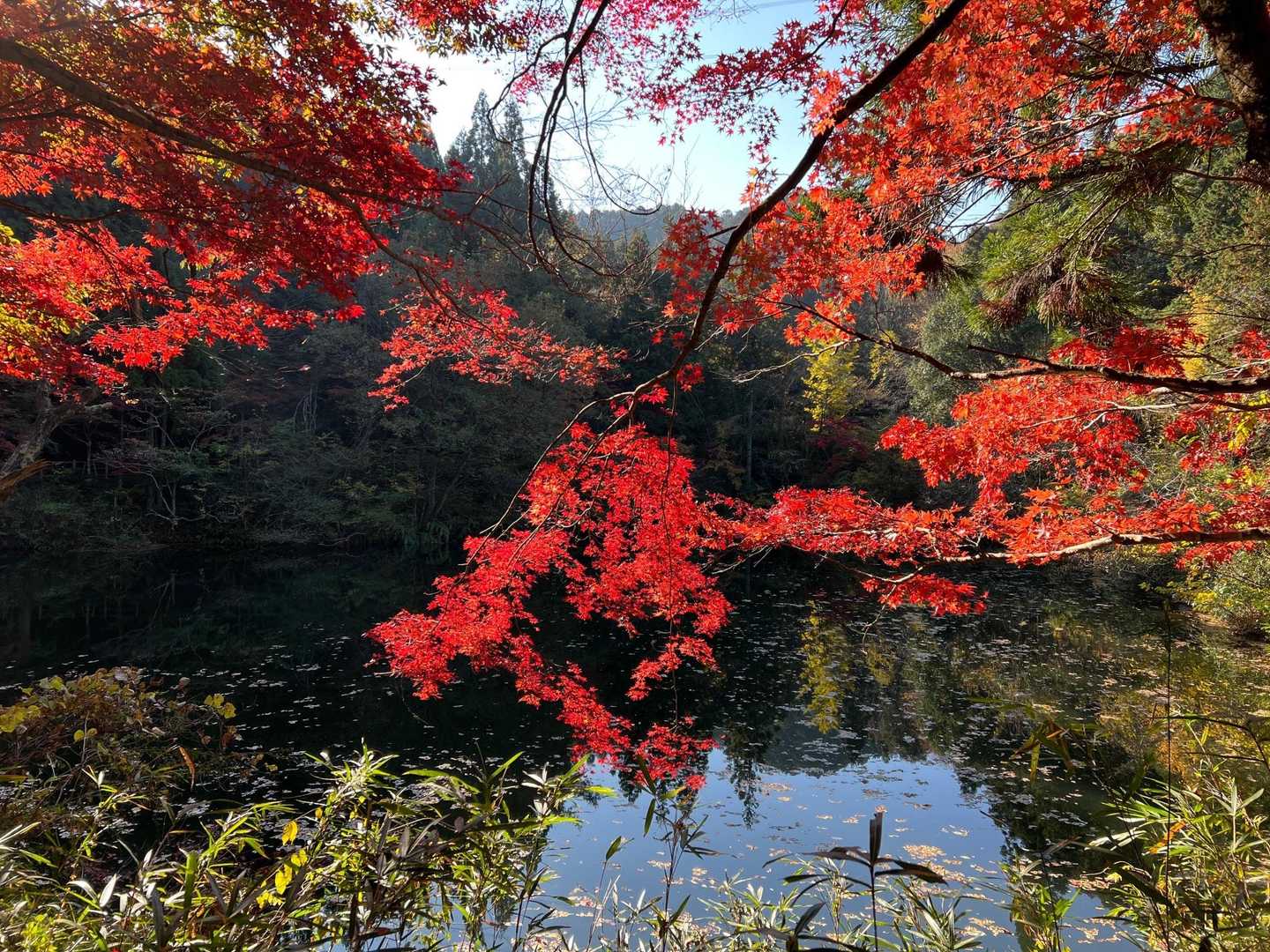 古城山 周回コースの写真