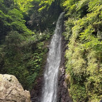 汗がジワってきたところで養老の滝のミスト効果でスッキリ気分