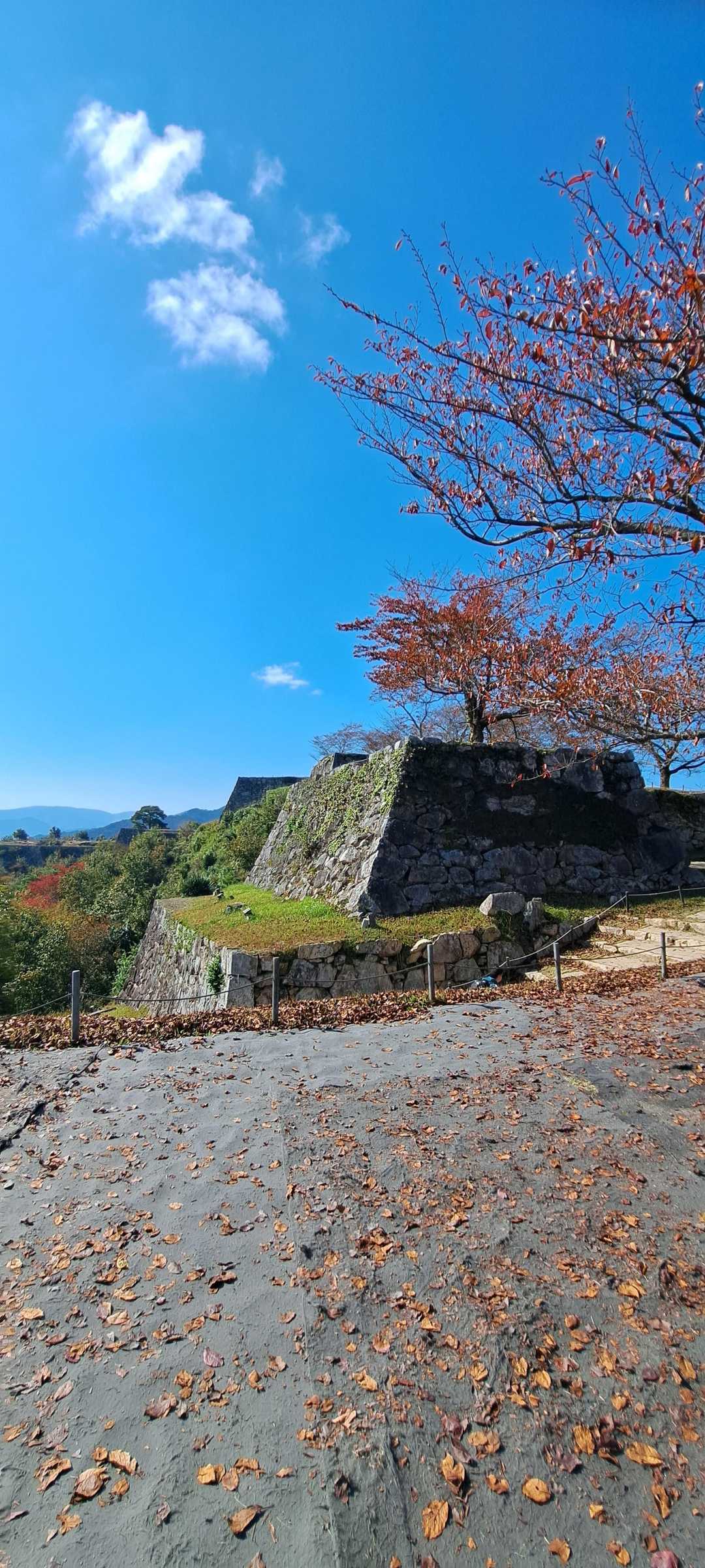 竹田城山 周回コースの写真