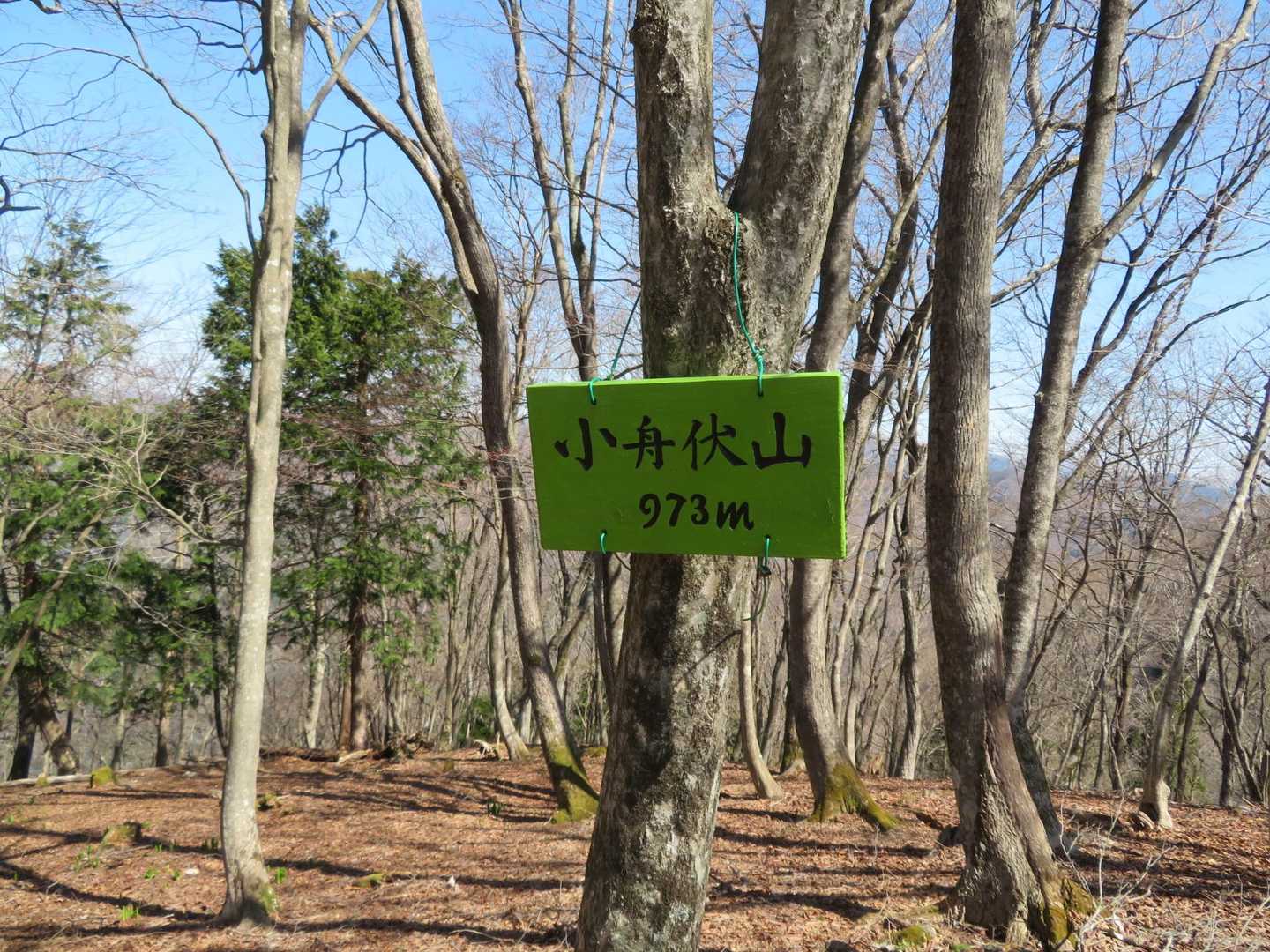 第一のピーク⛰️
通過🥾🥾🥾