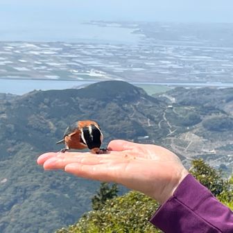 金峰山までヤマガラに会いに…🤗 / ビタミンさんの金峰山・二ノ岳