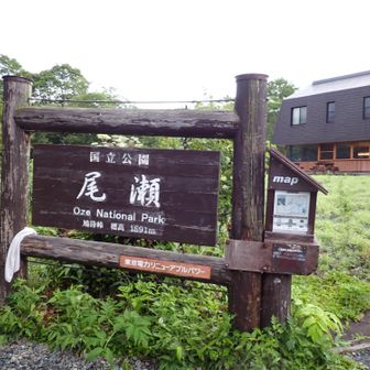 これは昔と同じか